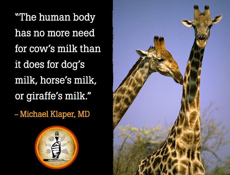 FOK_Giraffe_Meme_1