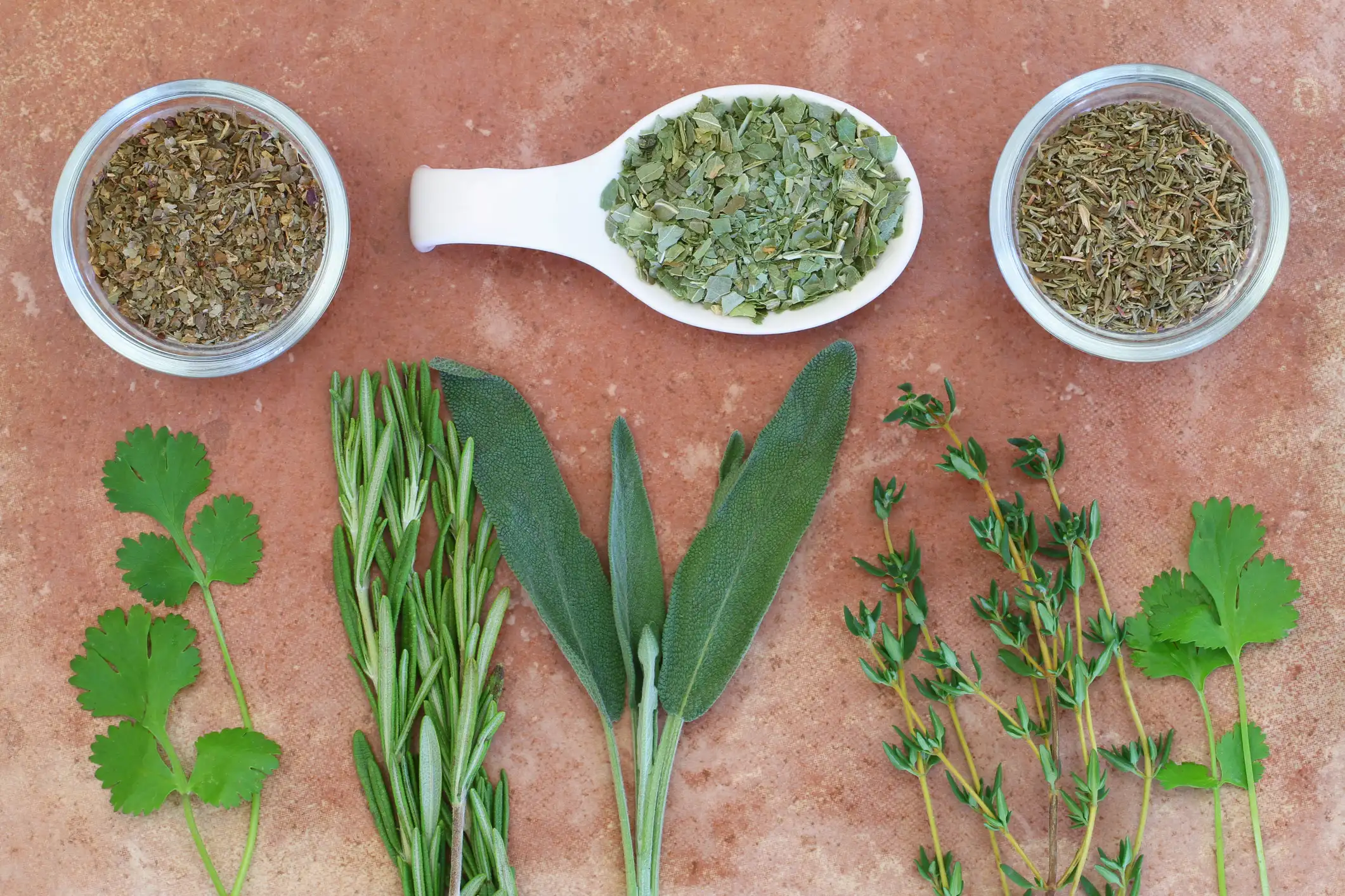 Assortment of fresh and dried herbs on a terracotta surface